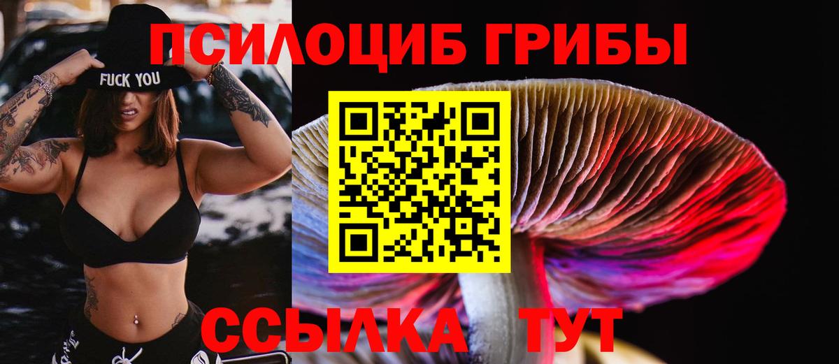 наркота  Псилоцибиновые грибы мицелий  Вход с VPN  Астрахань 