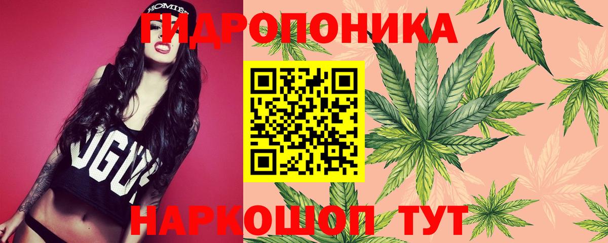 Астрахань  Каннабис MAZAR  Вход с VPN  Бошки Шишки LSD WEED  Шишки марихуана сатива 